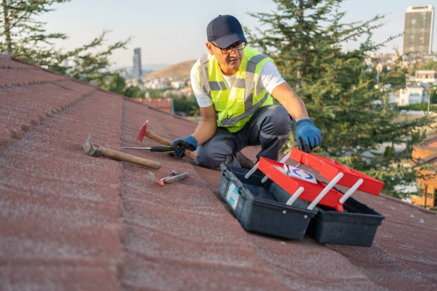 Best Vinyl Siding Installation  in Clementon, NJ